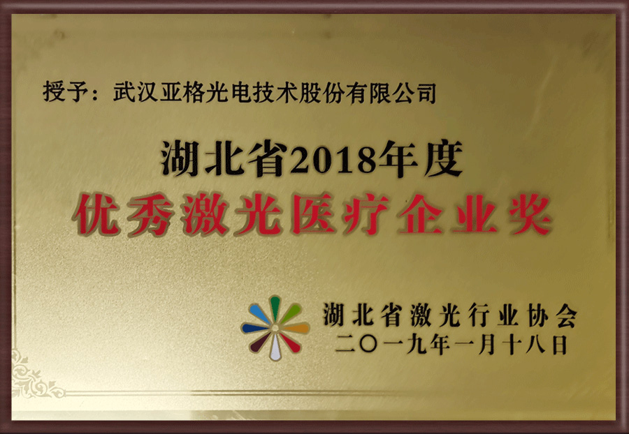 2018年度激光医疗企业奖